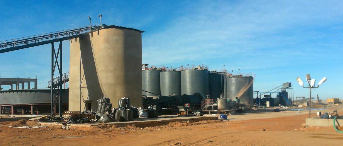 Gold-CIL-plant-in-Sudan