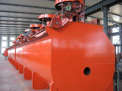 Flotation System For Mineral Processing